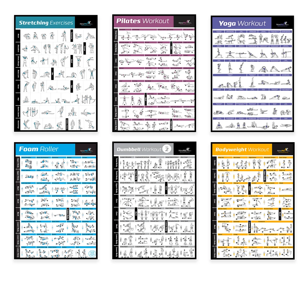 Body Exercise Training Chart W - đánh giá và giá Home Gym Routine